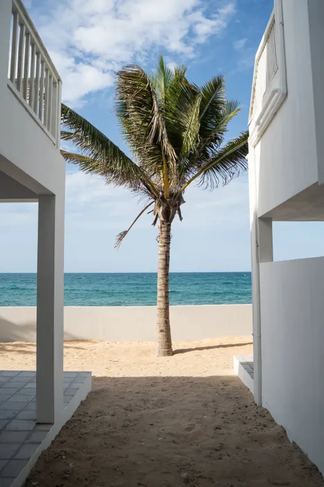Beach house exterior at Barra Cabanas surrounded by tropical planting