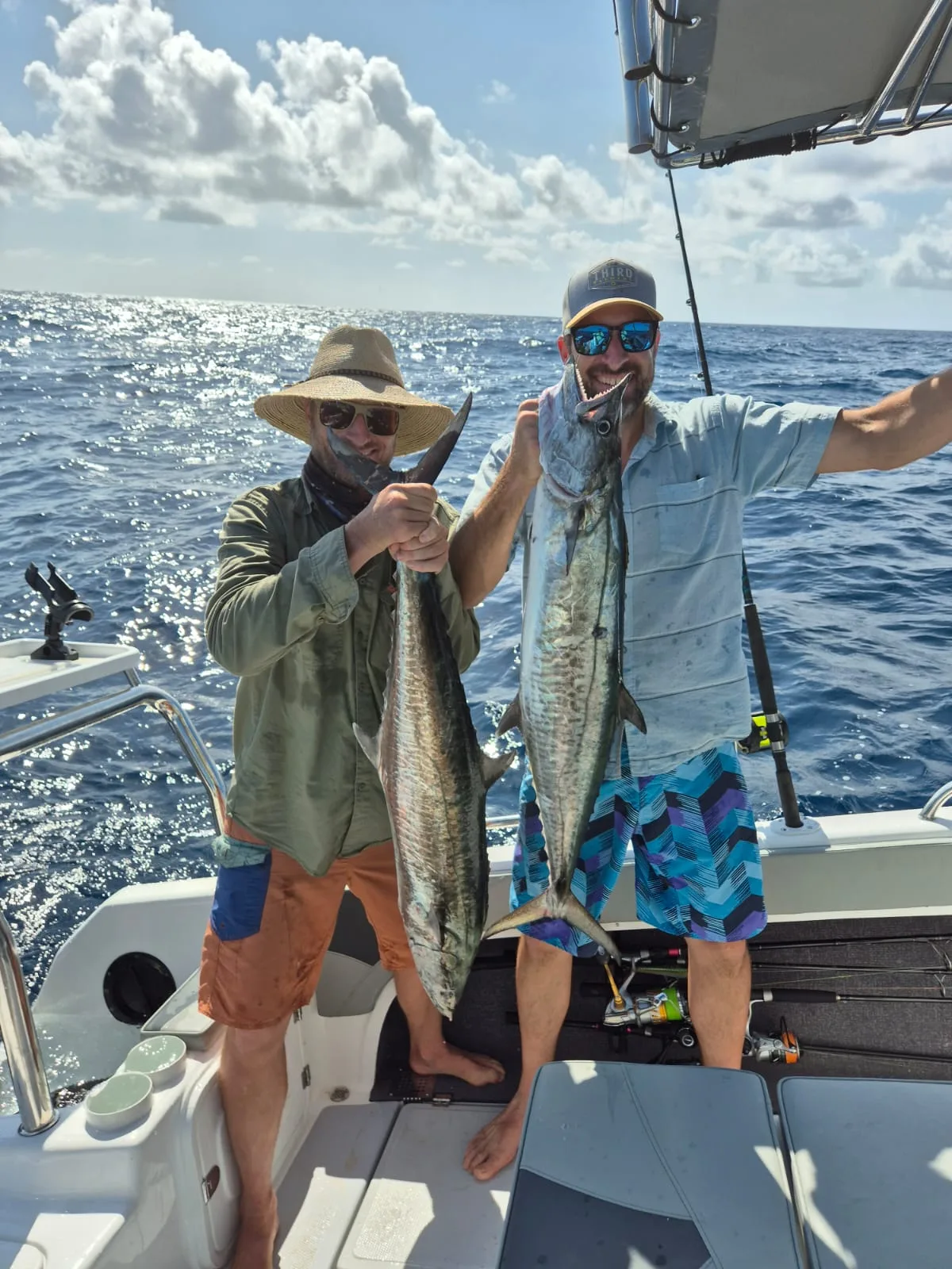 Mahi mahi — the colours of the deep