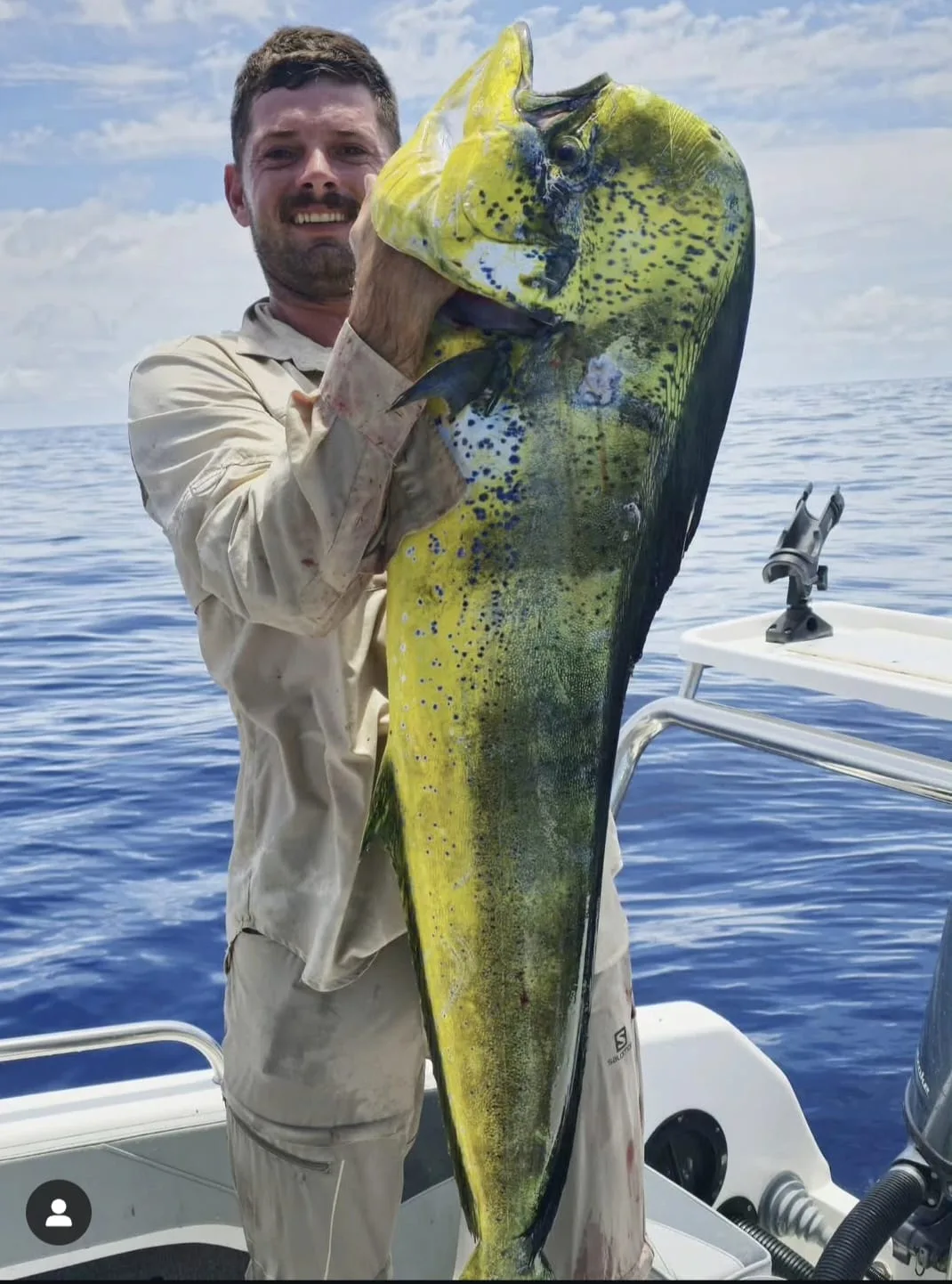Barracuda — fast, explosive, unforgettable